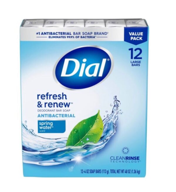 Dial Antibacterial Deodorant Spring Water Bar Soap - 12pcs